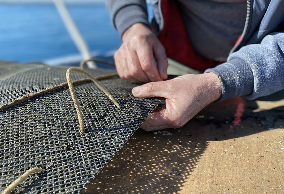 preparazione-lanterne-